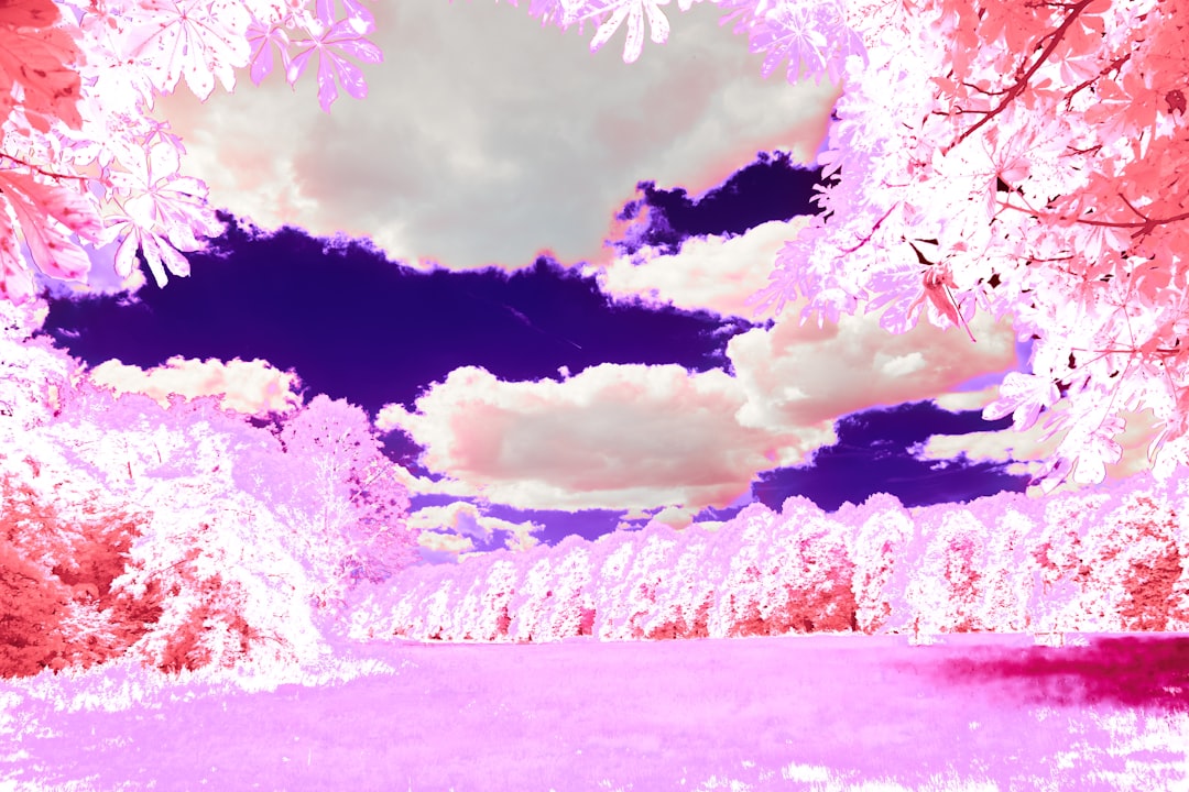 Photo dream interpretation