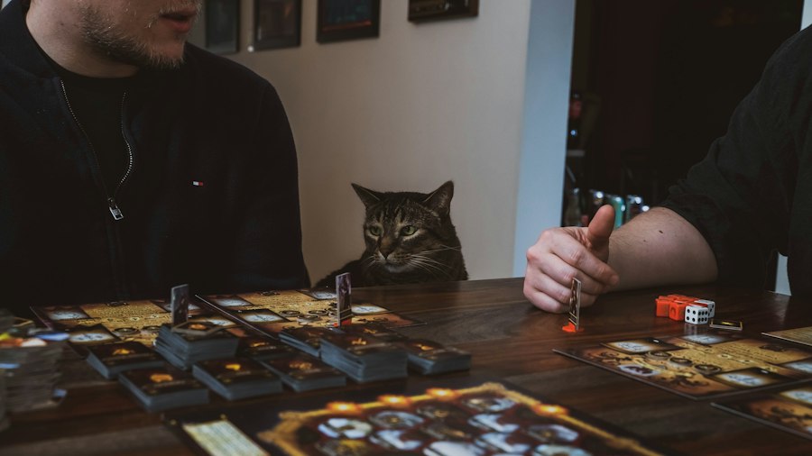 board games